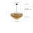 Crystal Drum Chandelier (Black)