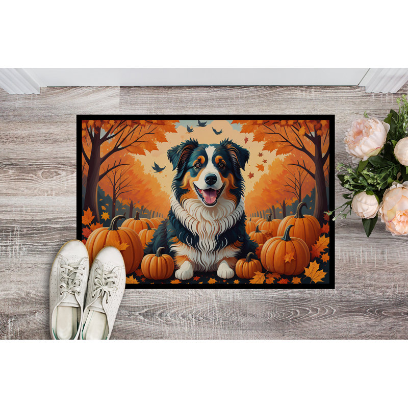 Tapis de porte intérieur antidérapant Nowella, L 24 po x L 36 po