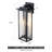 Zeily Wall Light
