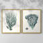 Antique encadré de corail de qualité antique - impression prête à accrocher - aucun clou requis-1515490569-1515490571