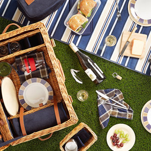 Picnic spread