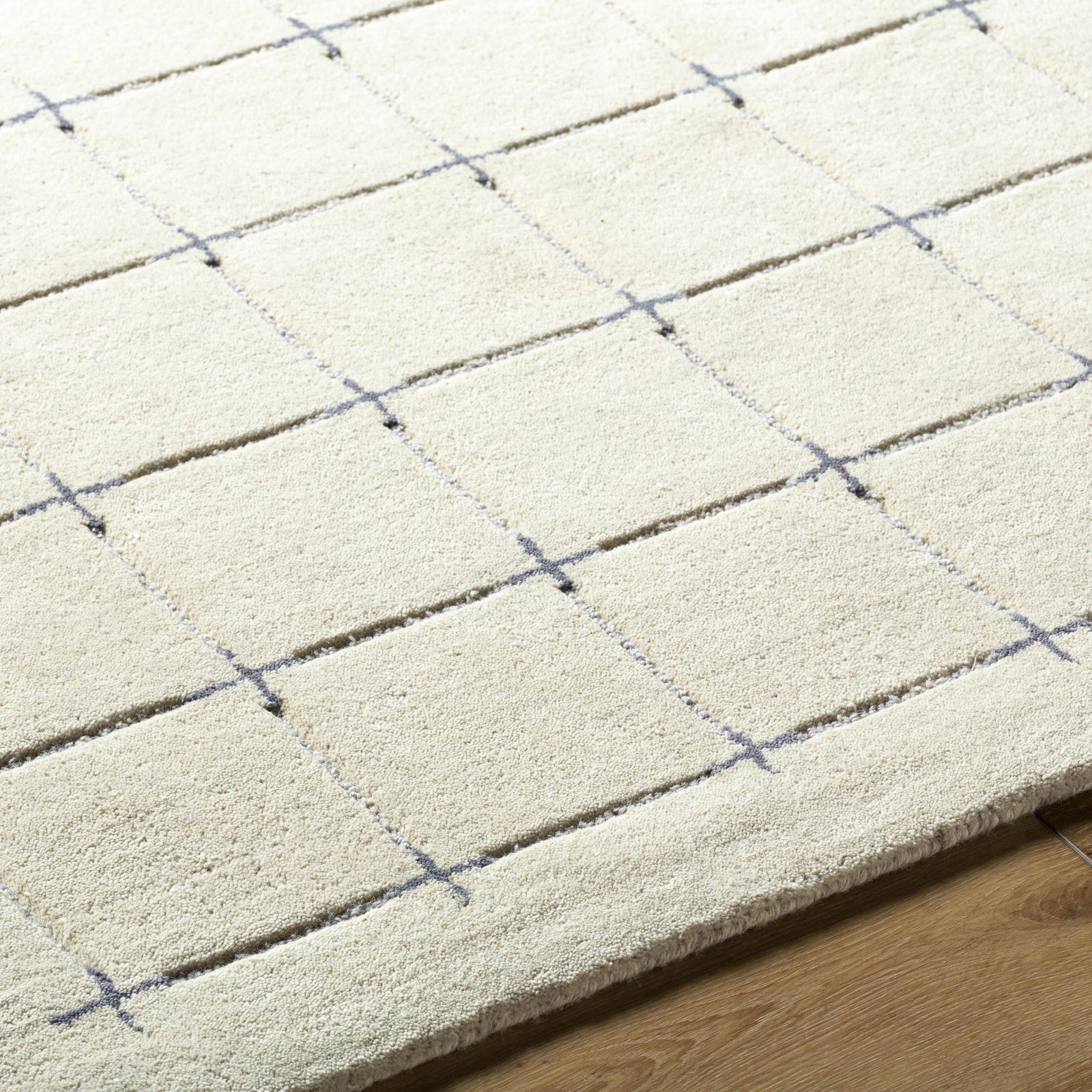 Mallory Gray Hand Tufted Area Rug, Rectangle 2' x 3'