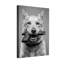 Animaux, chien tenant un pistolet dans la bouche, portrait en noir et blanc-348473664
