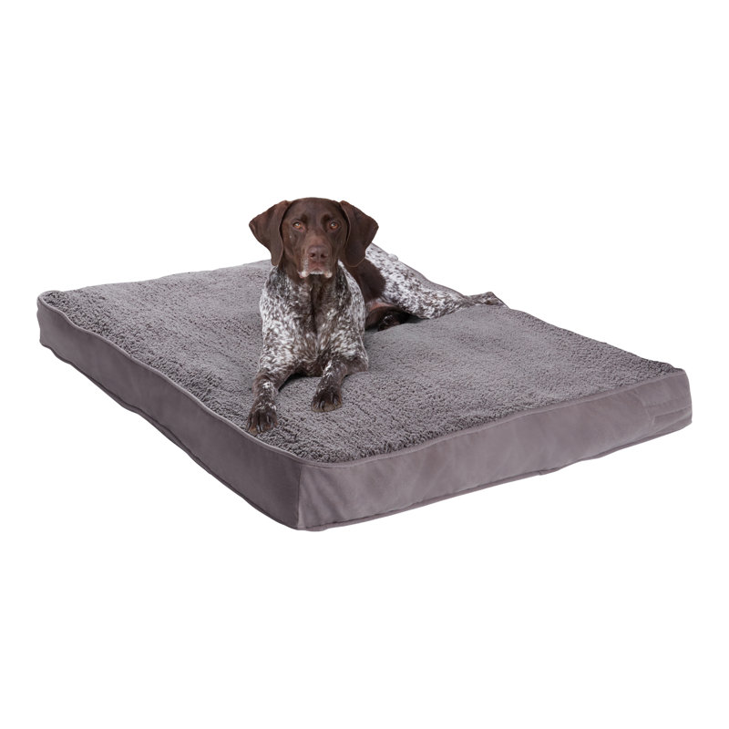 Lit pour chien avec coussin de soutien, Gris, Grand (l 48 po x P 36 po x H 4 po)