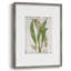 Greenhouse Fern I, reproduction encadrée - bois massif 51005-1538363963