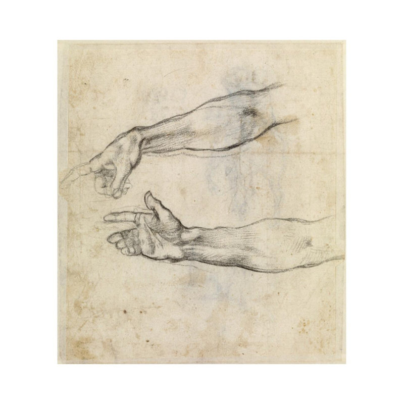 Étude de deux bras pour «The Drunkenness of Noah» dans la chapelle Sixtine par Michelangelo Buonarroti - Estampe numérique