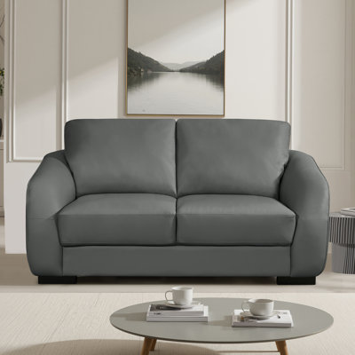 Aleyha Compact Leather Sofa