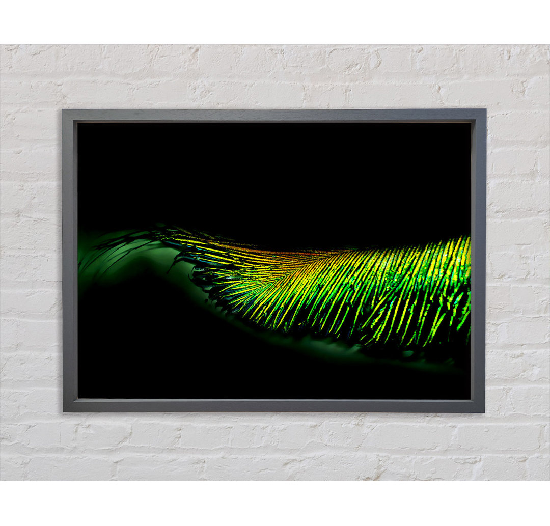 Vibrant Green Feather - Einzelner Bilderrahmen Kunstdrucke auf Leinwand