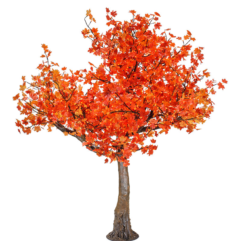 Érable, feuilles rouges, arbres éclairés et branches, Orange