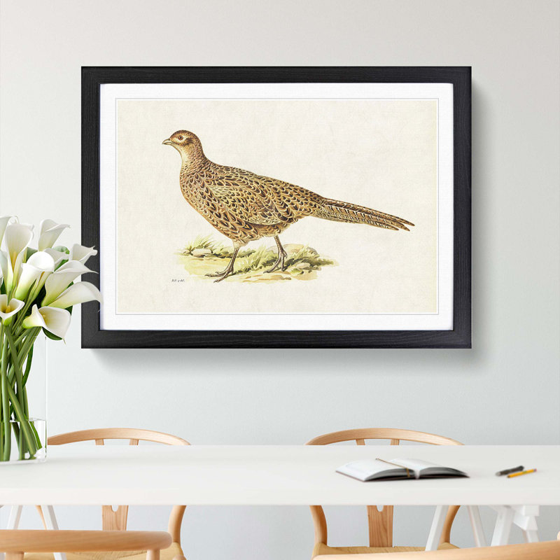 Pheasant by Von Wright - Picture Frame Painting Print, 48cm H x 65cm W x 2cm D, Black Framed