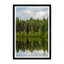 Tree Reflection Print by Tim Klein