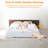 Pet Bed