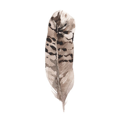 " Watercolor Feather Brown Black " Painting Print