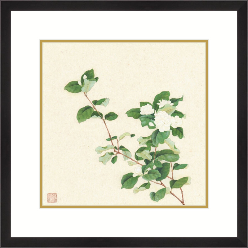 Jasmine Blossoms by Xiu Yitang - Single Picture Frame Print, 17.5" H x 17.5" W