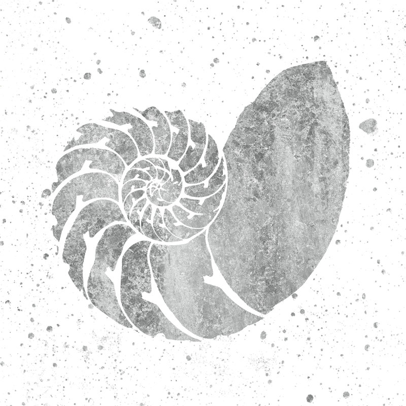Silver Sea Life Shell by Wild Apple Portfolio - Wrapped Canvas Painting, 30cm H x 30cm W