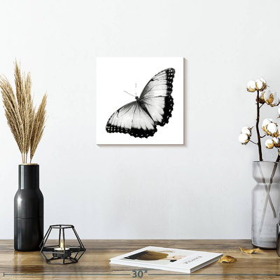 Papillon monochromatique sur toile