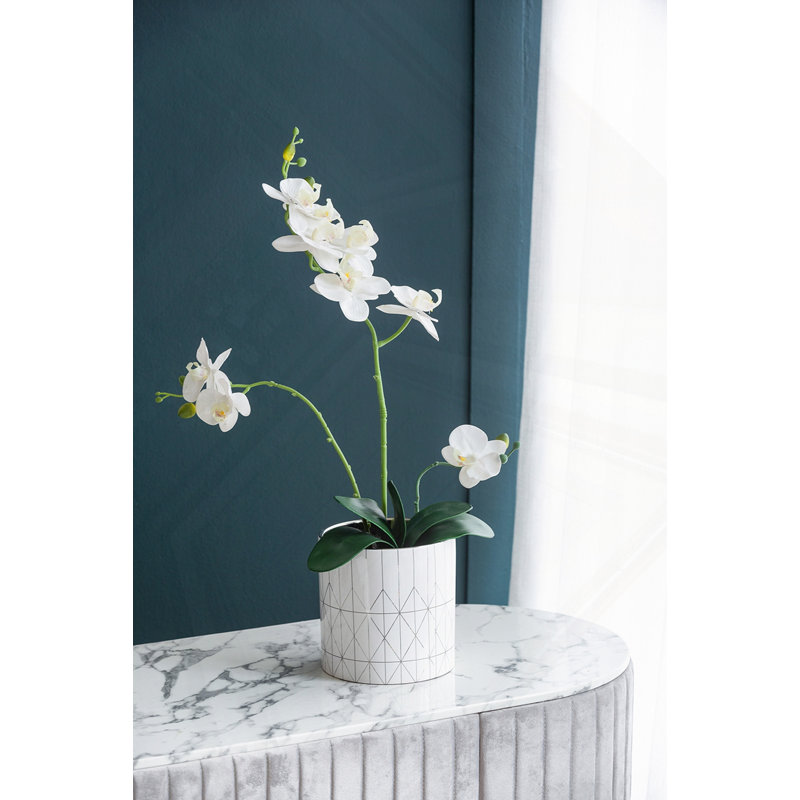 Jardinière en céramique D6.3X6.3 ", H 6,3 po x l 6,3 po x P 6,3 po