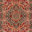 Belle Oriental Area Rug-16543455