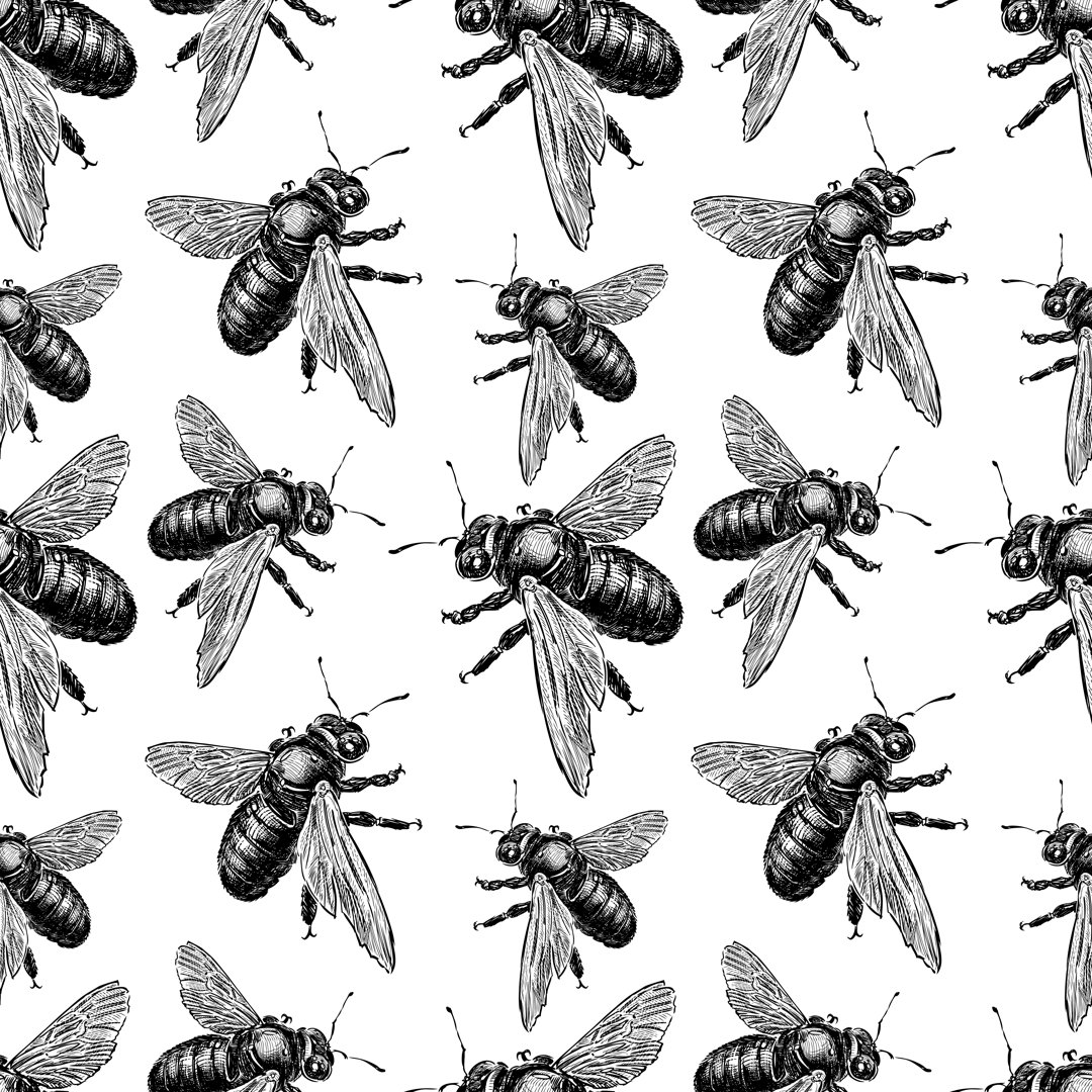 Watonga Bumblebees von Asmakar - Grafik auf Leinwand