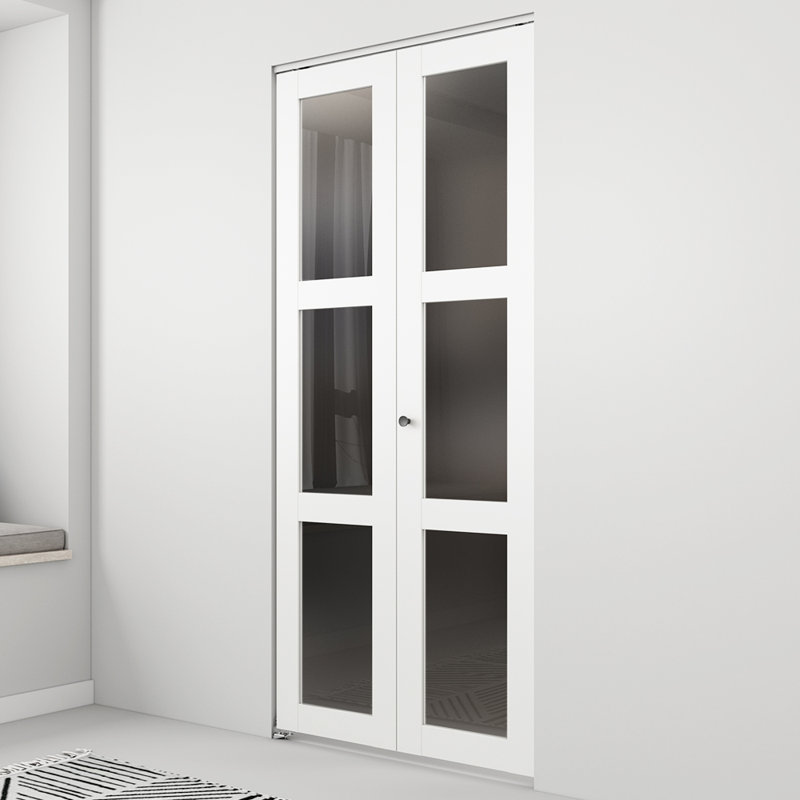 Porte pliante en verre avec quincaillerie d'installation, H 80 po x l 24 po x P 1,38 po