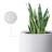 Laihla Pot Planter-1514892767-1514892764
