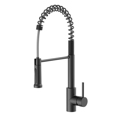 Vetta Pull Down Kitchen Faucet
