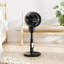 Air Circulator Fan-124562706
