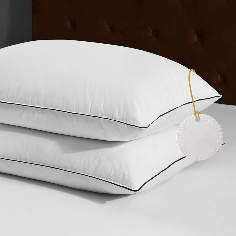 Ensemble de 2 coussins en duvet et mélange de plumes douces, Très grand