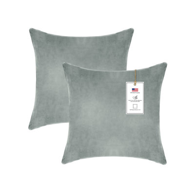A1HC Velvet Down-Alternative Throw Pillow Inserts – Hypoallergenic, Ready-to-Use, Set of 2