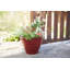 Pot à fleurs rond Beehive-91225320