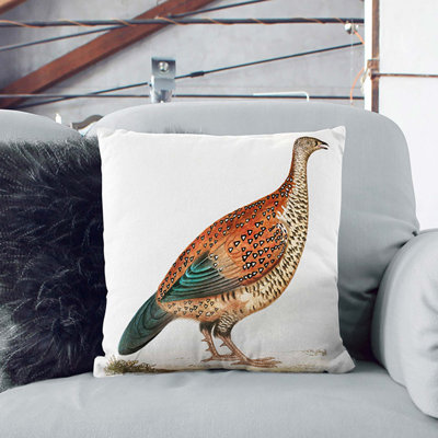 Curria Partridge Illustration Square Throw Cushion