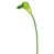 Blanc / vert