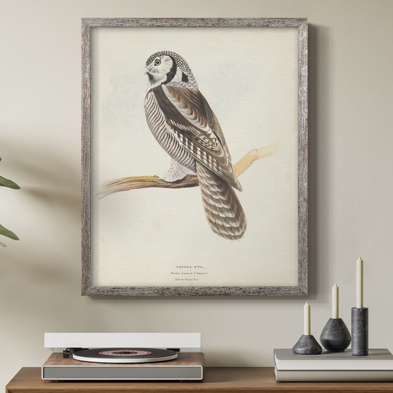 Canada Owl Framed Print - Solid Wood, 21" H x 17" W