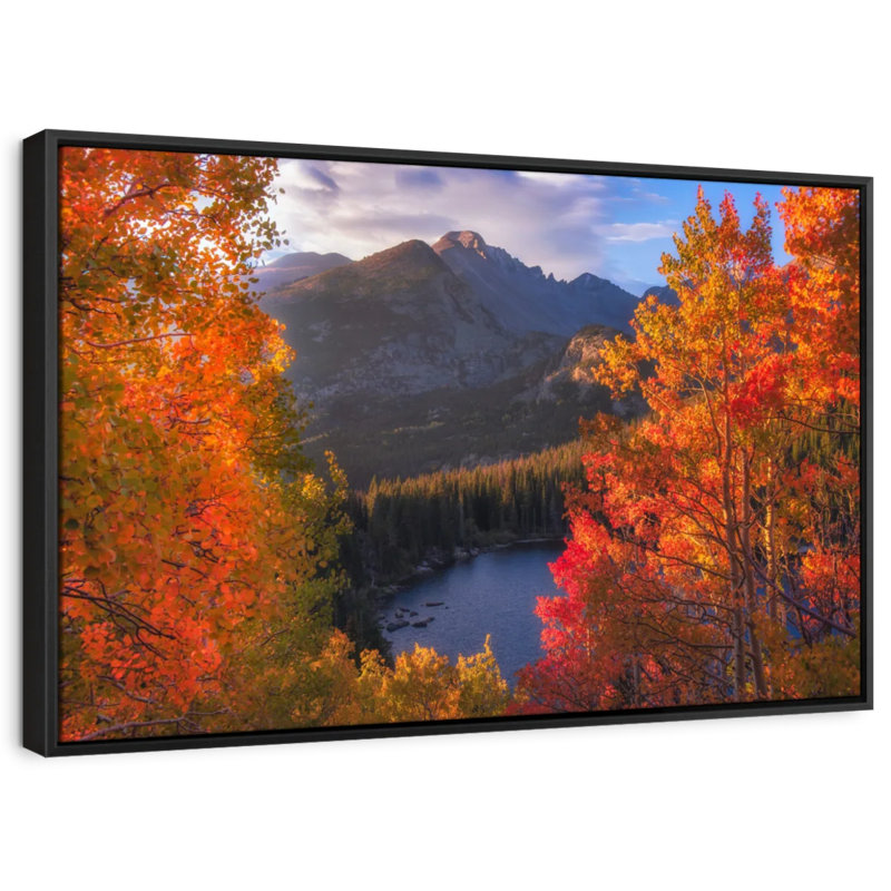 «Rocky Mountain Autumn Art», H 9 po x l 13 po