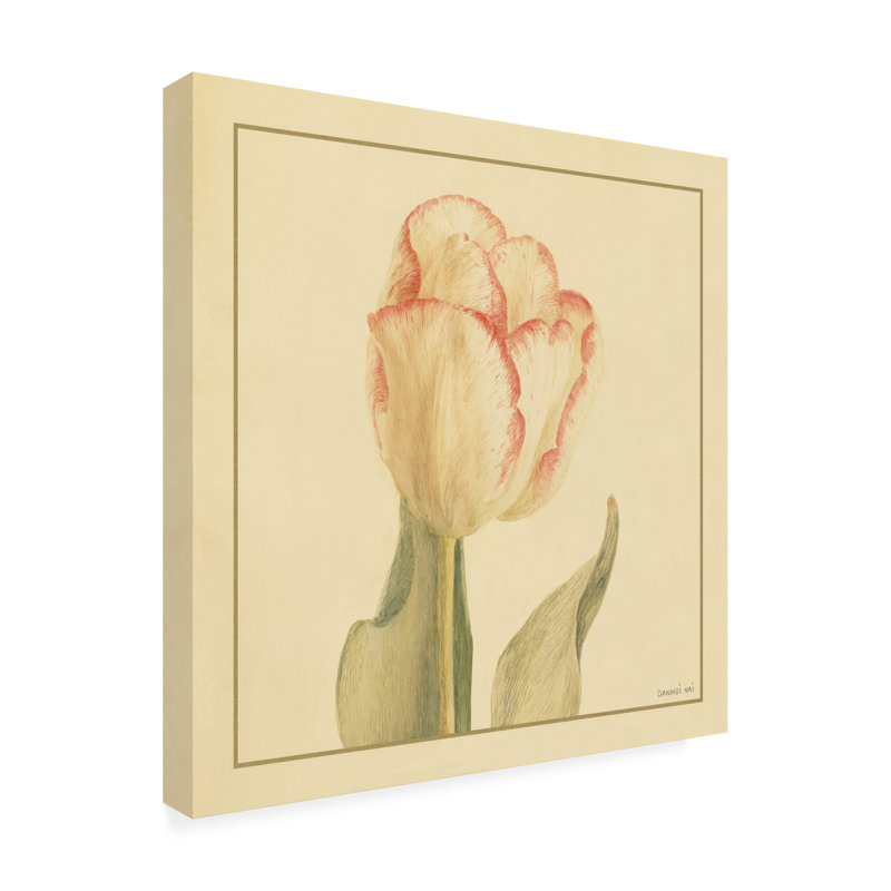 Danhui Nai Tulip I Canvas Art, 35" H x 35" W