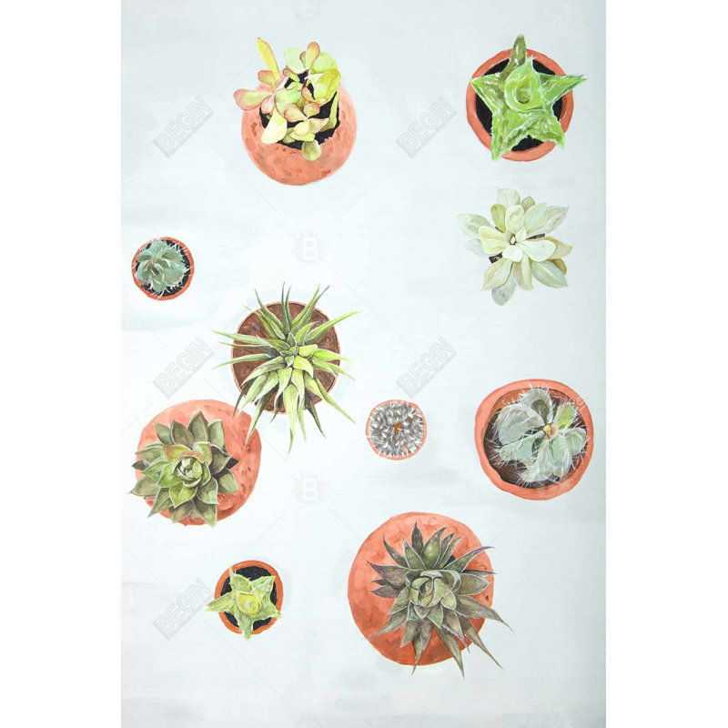 "Plantes de cactus" sur toile
