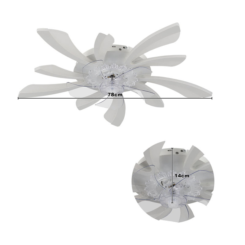 Ceiling Fan with LED Lights