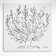 Plain Tree by Henri Matisse - Closed Corner Frame Print on Canvas