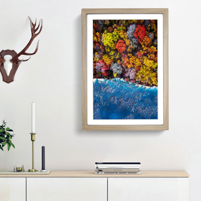 Forest View - Picture Frame Graphic Art Print