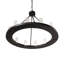 12 - Light Chandelier