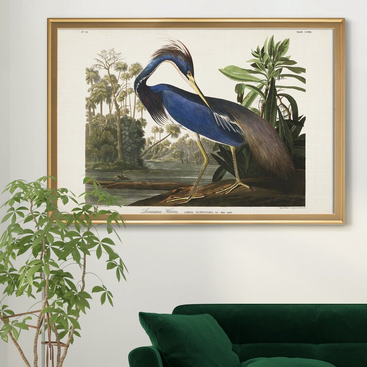 https://assets.wfcdn.com/im/62431360/resize-h755-w755%5Ecompr-r85/1337/133747396/Louisiana+Heron+Framed+On+Canvas+Print.jpg