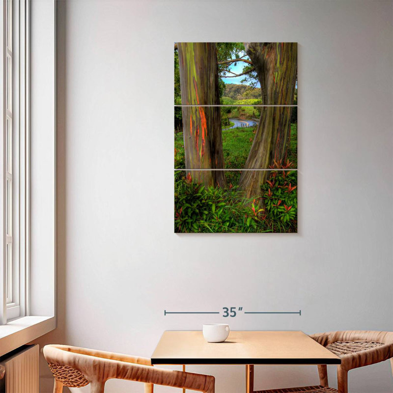 Harnek Roadside Rainbow Eucalyptus, 57" H x 36" W