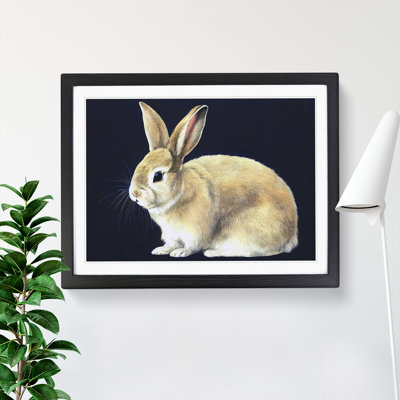 Lone Rabbit - Single Picture Frame Print