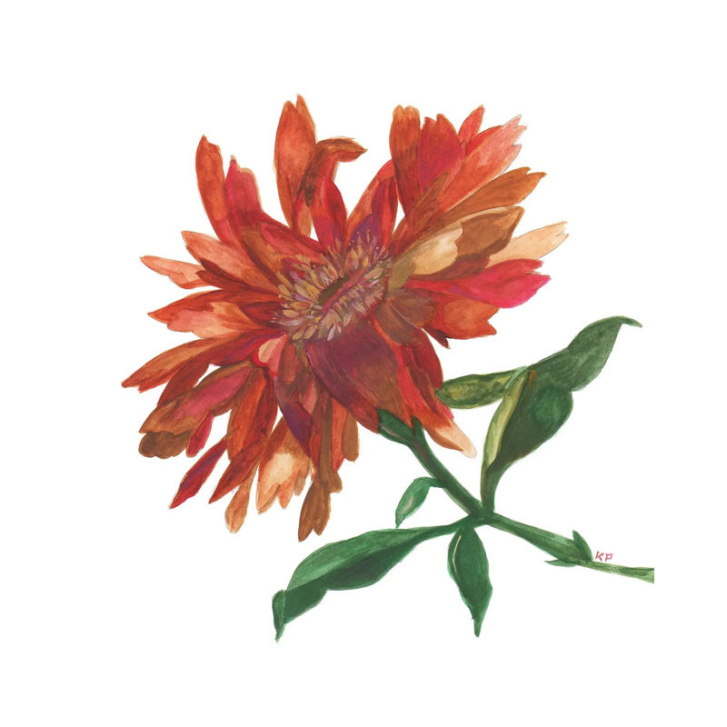Autumn Zinnia by Kim Parker - No Frame Gallery-Wrapped Canvas Giclée on Canvas