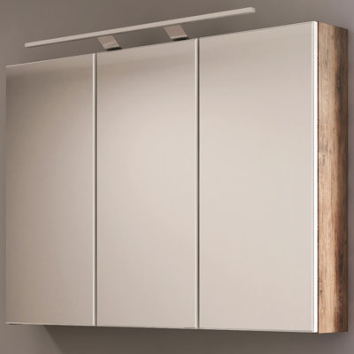 Mcdorman Surface Mirrored Bathroom Cabinets with Mirror and 4