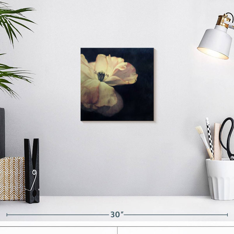 Lumière dans la fleur sombre, H 10 po x l 10 po