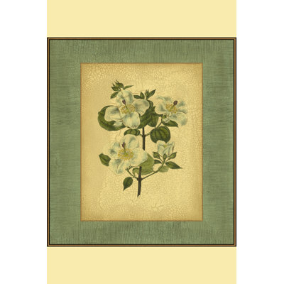 Spa Blue Curtis (NA) IV - Wrapped Canvas Art Prints