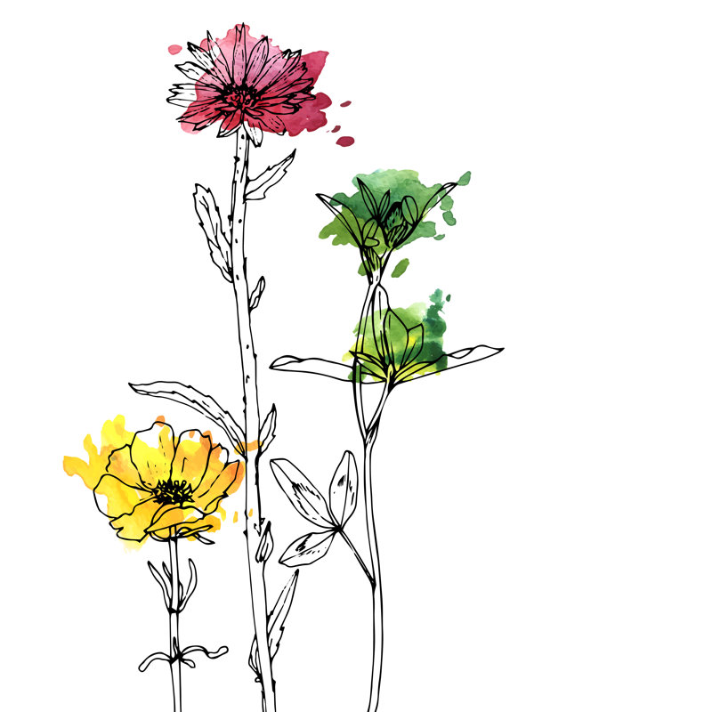 Linzee, herbes et fleurs sur toile par Cat_Arch_Angel, peinture, H 12 po x l 12 po