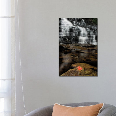 Fall Herald by David Gardiner - Gallery-Wrapped Canvas Giclée on Canvas