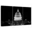 Capitole des États-Unis, bâtiment BW-106802110